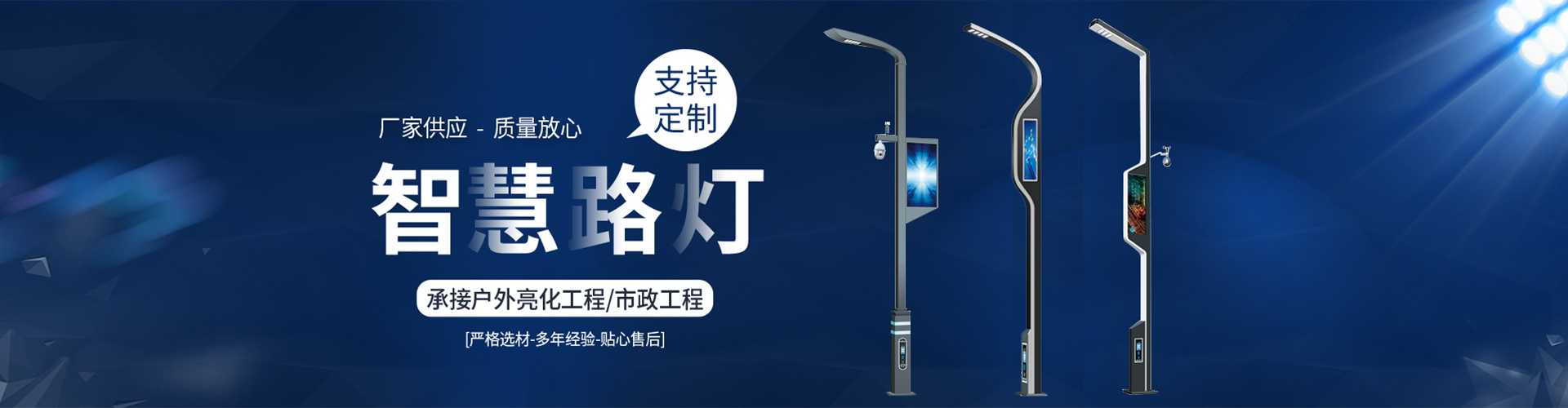 广德市太阳能路灯定制厂家