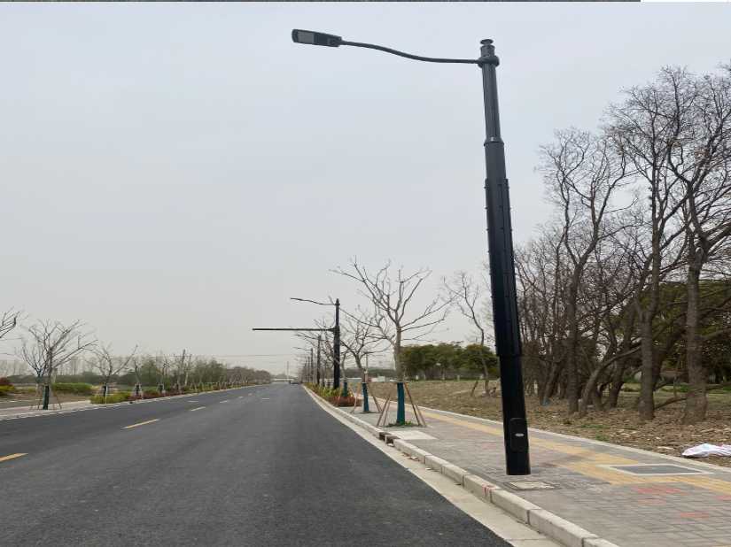 广德市上海综合杆 太阳能路灯工程